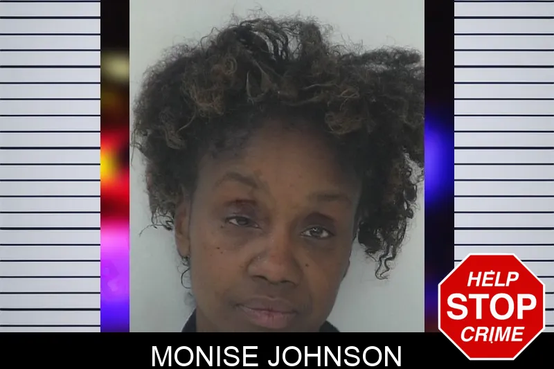 Monise Johnson mugshot – Fayette County , Georgia Monise Johnson mugshot