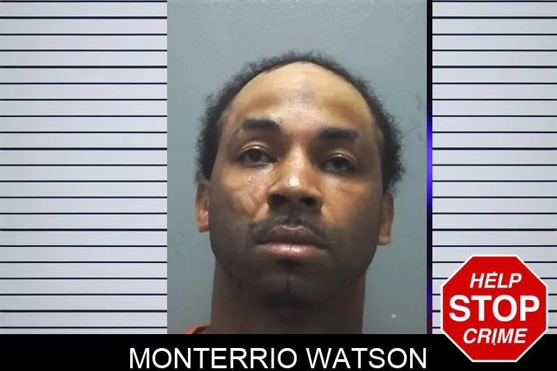Monterrio Watson mugshot – Cherokee County , Georgia Monterrio Watson mugshot