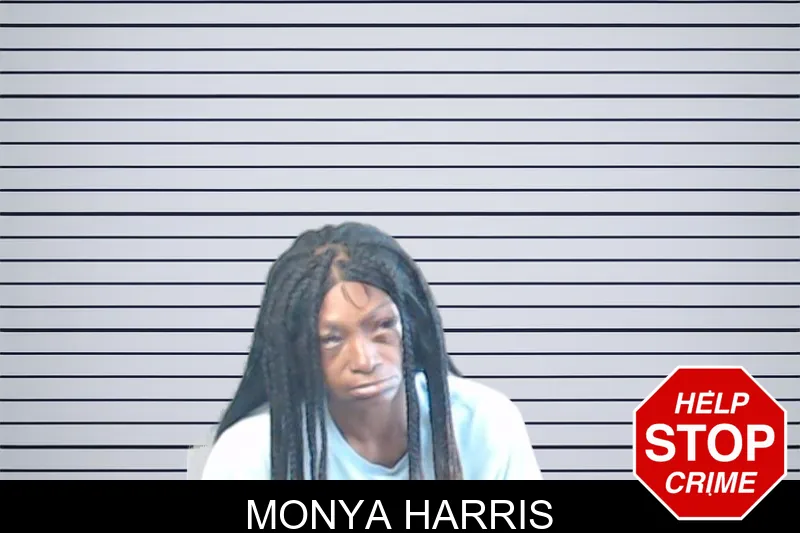 Monya Harris mugshot – DeKalb County , Georgia Monya Harris mugshot