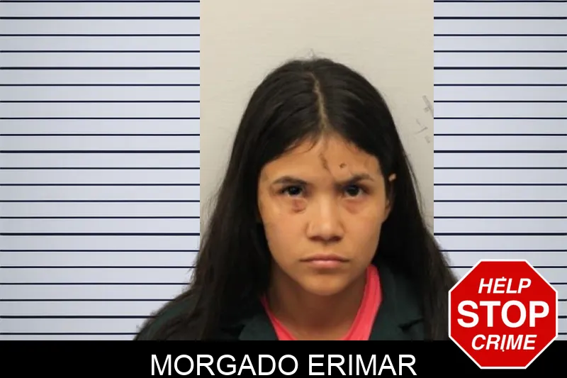 Morgado Erimar mugshot – Chatham County , Georgia Morgado Erimar mugshot