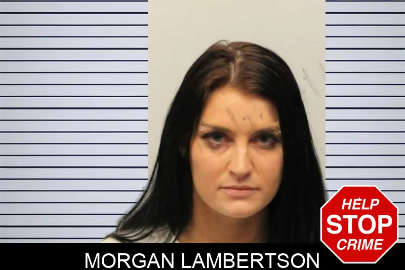 Morgan Lambertson mugshot – Chatham County , Georgia Morgan Lambertson mugshot