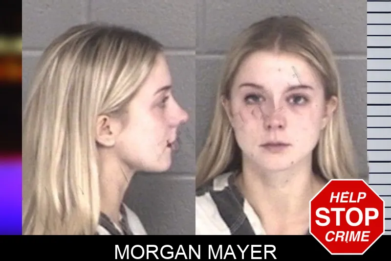 Morgan Mayer mugshot – Barrow County , Georgia Morgan Mayer mugshot