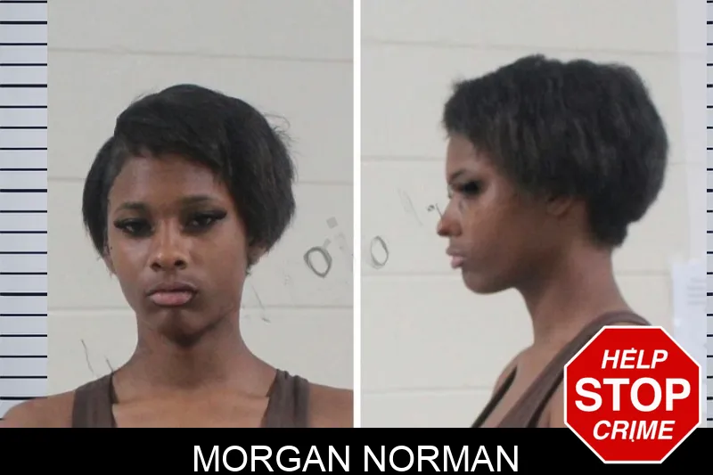 Morgan Norman mugshot