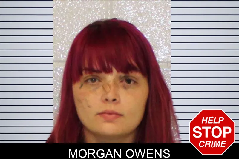 Morgan Owens mugshot – Carroll County , Georgia Morgan Owens mugshot