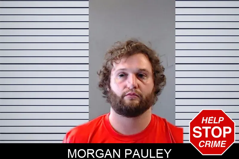 Morgan Pauley mugshot – DeKalb County , Georgia Morgan Pauley mugshot
