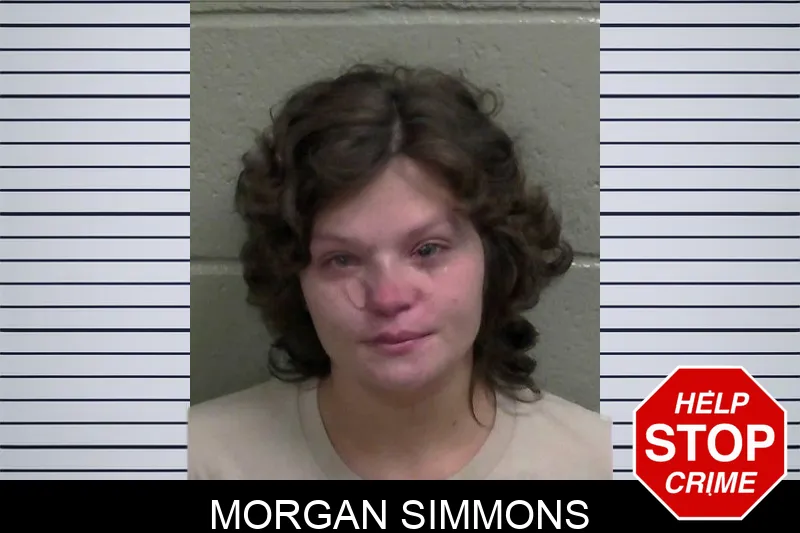 Morgan Simmons mugshot – Wayne County , Georgia Morgan Simmons mugshot