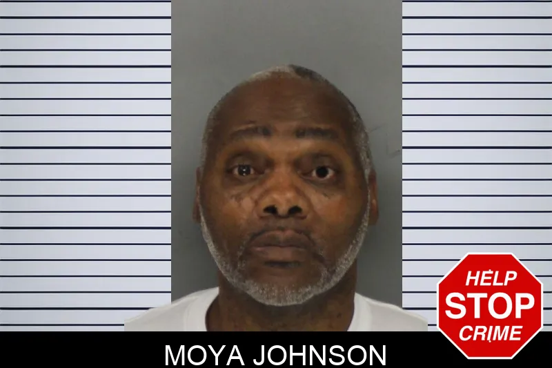 Moya Johnson mugshot
