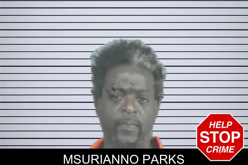 Msurianno Parks mugshot – Mitchell County , Georgia Msurianno Parks mugshot