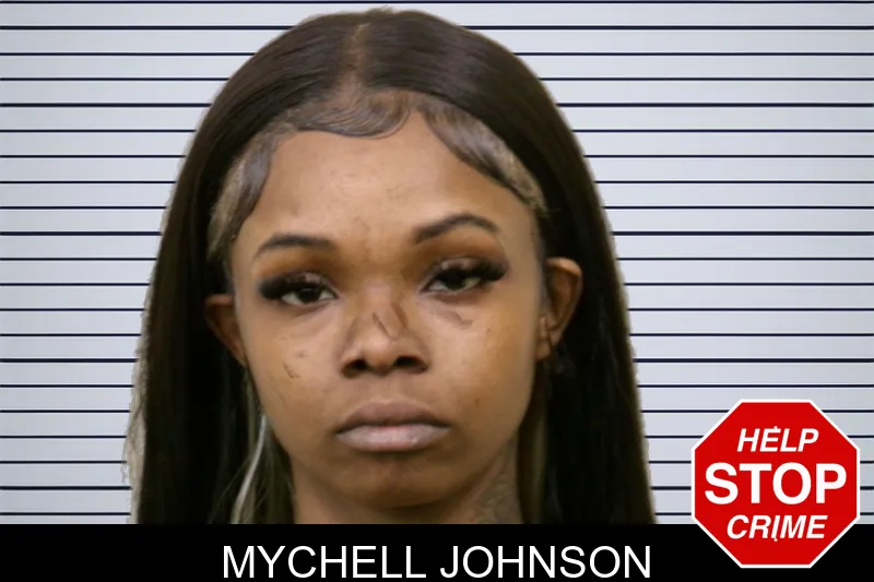 Mychell Johnson mugshot – Bulloch County , Georgia Mychell Johnson mugshot