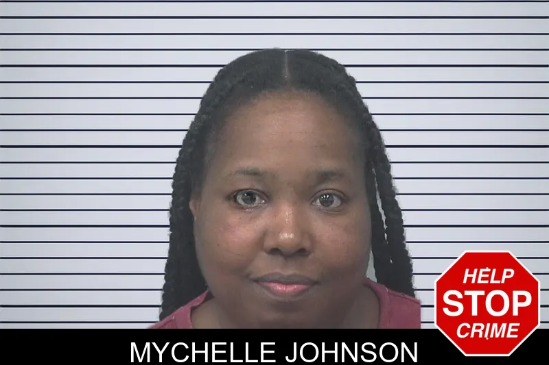 Mychelle Johnson mugshot – Gwinnett County , Georgia Mychelle Johnson mugshot