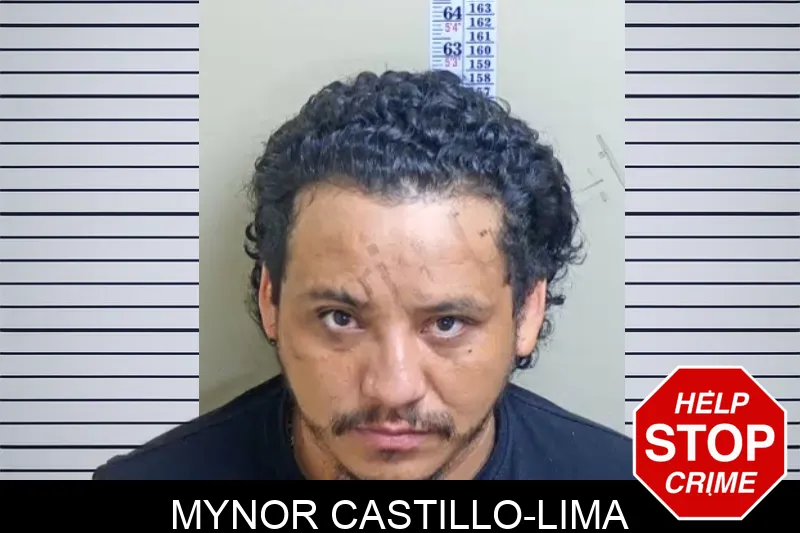 Mynor Castillo-Lima mugshot – Gwinnett County , Georgia Mynor Castillo-Lima mugshot