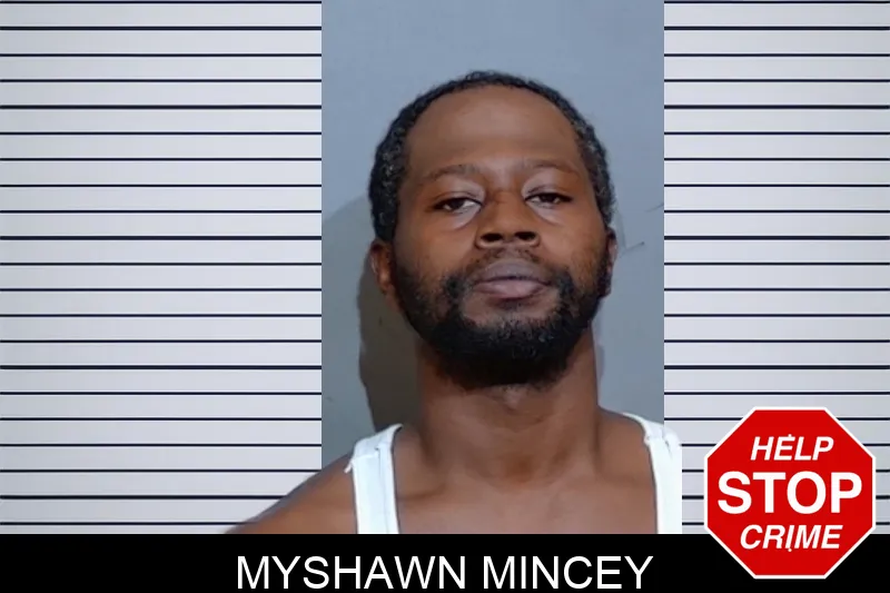Myshawn Mincey mugshot – Glynn County , Georgia Myshawn Mincey mugshot