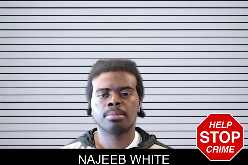 Najeeb White mugshot – DeKalb County , Georgia Najeeb White mugshot
