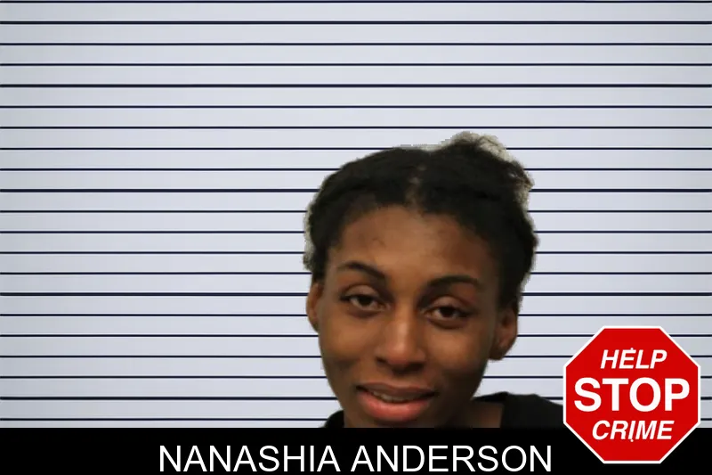 Nanashia Anderson mugshot – Chatham County , Georgia Nanashia Anderson mugshot