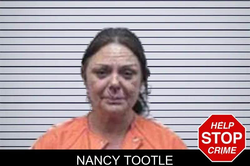 Nancy Tootle mugshot – Tattnall County , Georgia Nancy Tootle mugshot