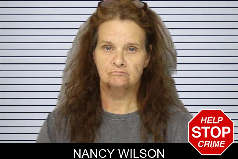 Nancy Wilson mugshot – Hall County , Georgia Nancy Wilson mugshot