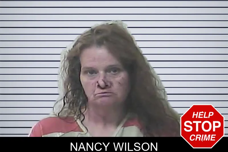 Nancy Wilson mugshot
