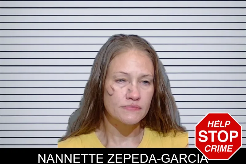Nannette Zepeda-Garcia mugshot – Glynn County , Georgia Nannette Zepeda-Garcia mugshot