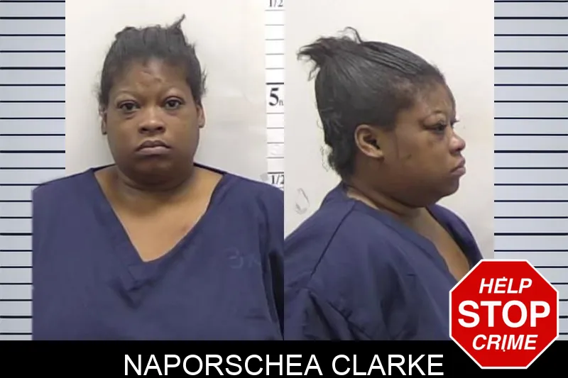 Naporschea Clarke mugshot – Clarke County , Georgia Naporschea Clarke mugshot