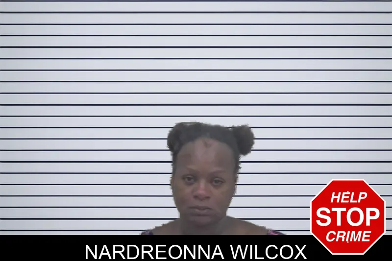 Nardreonna Wilcox mugshot – Coffee County , Georgia Nardreonna Wilcox mugshot