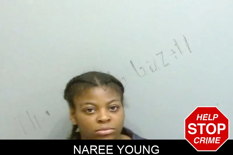 Naree Young mugshot – Fulton County , Georgia Naree Young mugshot