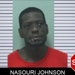 Nasouri Johnson mugshot – Bleckley County , Georgia Nasouri Johnson mugshot