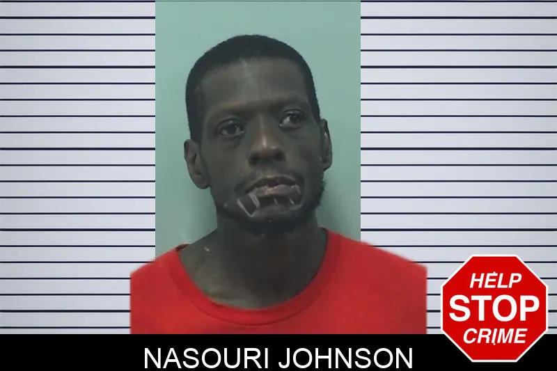 Nasouri Johnson mugshot – Bleckley County , Georgia Nasouri Johnson mugshot