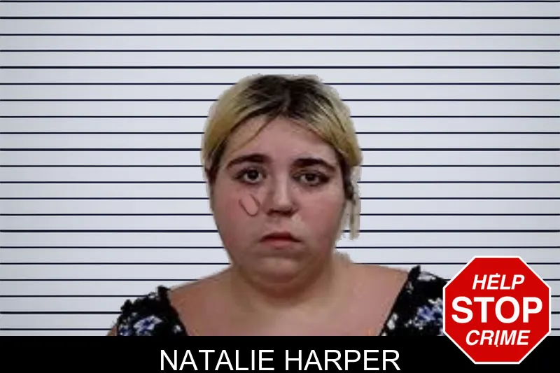 Natalie Harper mugshot – Decatur County , Georgia Natalie Harper mugshot