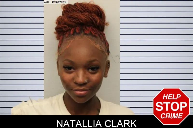 Natallia Clark mugshot – Chatham County , Georgia Natallia Clark mugshot