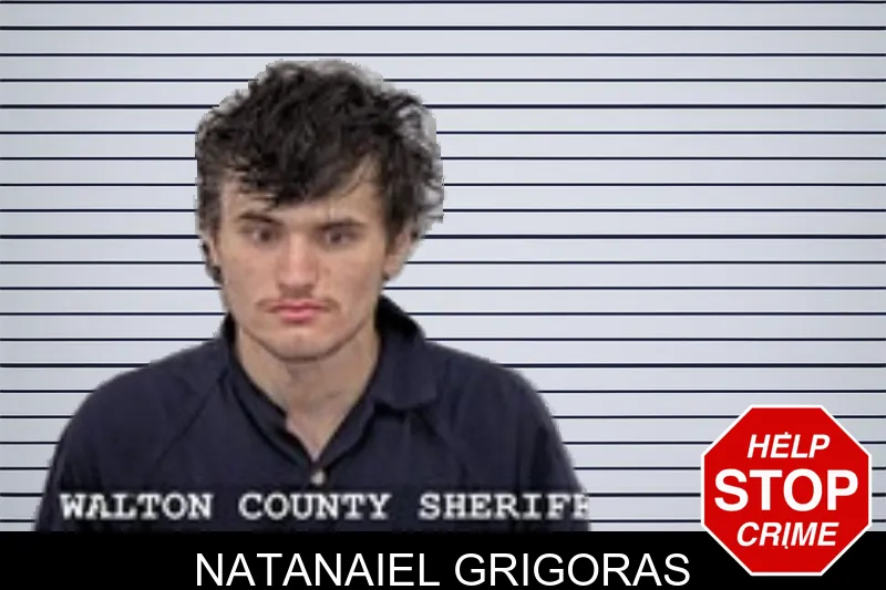 Natanaiel Grigoras mugshot – Walton County , Georgia Natanaiel Grigoras mugshot