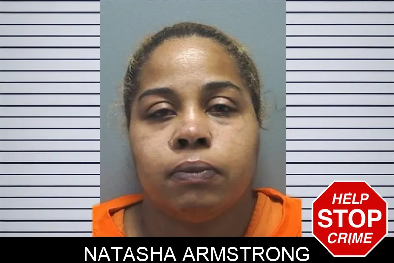 Natasha Armstrong mugshot – Cherokee County , Georgia Natasha Armstrong mugshot