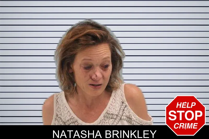 Natasha Brinkley mugshot – Grady County , Georgia Natasha Brinkley mugshot