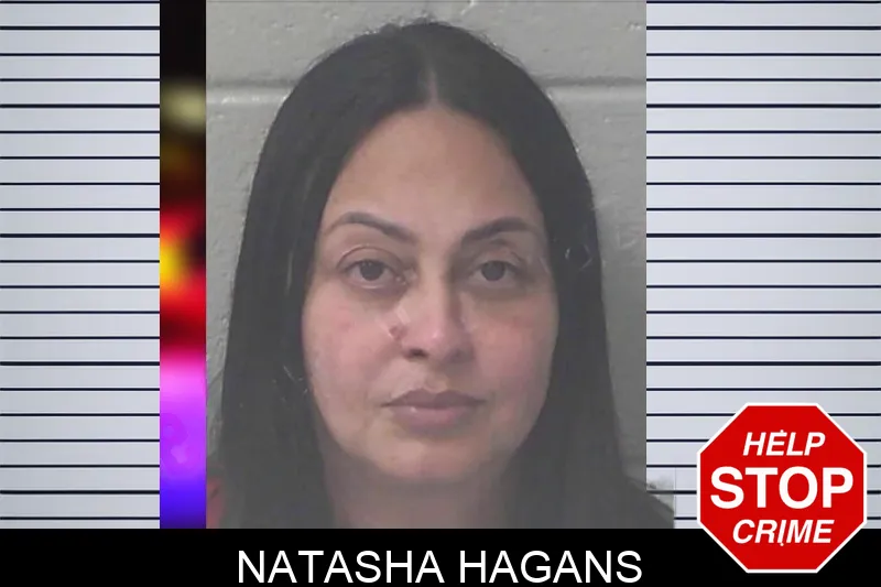 Natasha Hagans mugshot – Newton County , Georgia Natasha Hagans mugshot