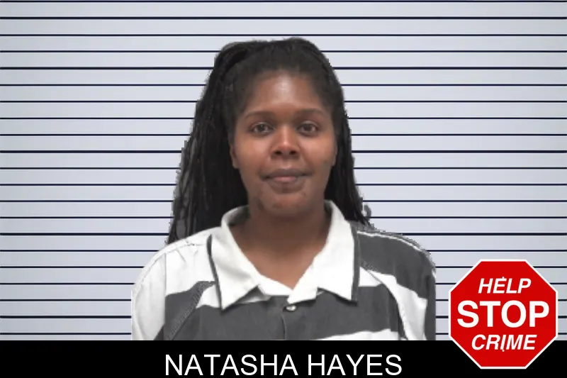 Natasha Hayes mugshot