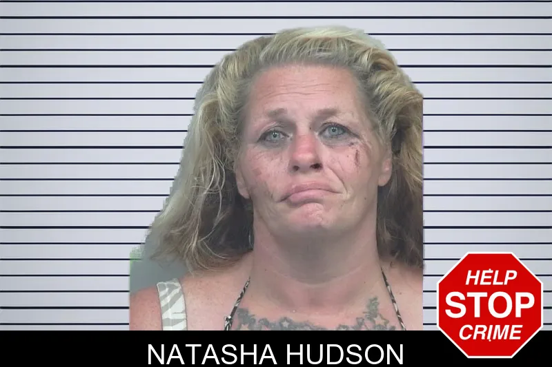 Natasha Hudson mugshot – Gwinnett County , Georgia Natasha Hudson mugshot
