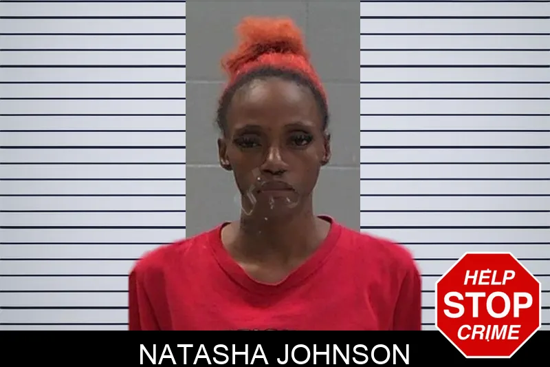 Natasha Johnson mugshot – Baldwin County , Georgia Natasha Johnson mugshot