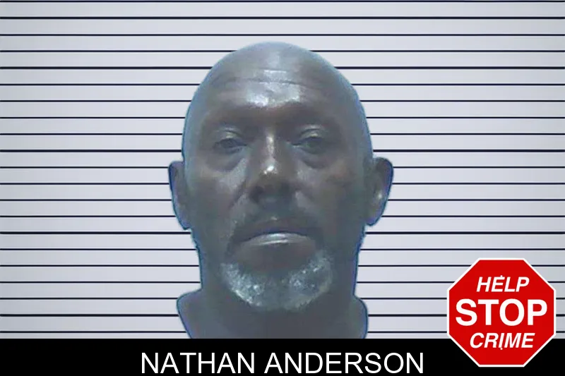 Nathan Anderson mugshot – Jackson County , Georgia Nathan Anderson mugshot