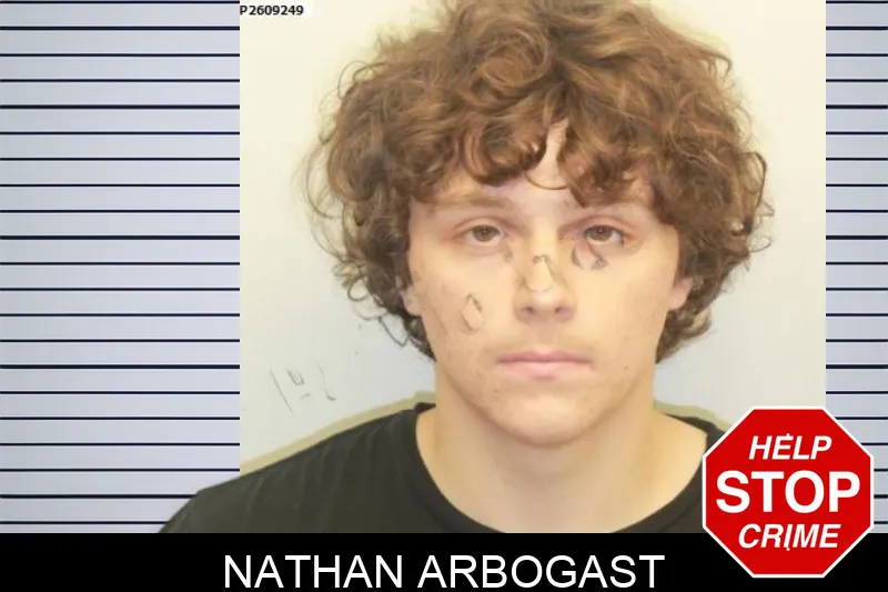 Nathan Arbogast mugshot – Chatham County , Georgia Nathan Arbogast mugshot