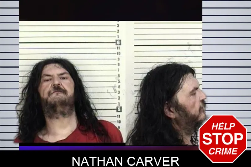 Nathan Carver mugshot – Camden County , Georgia Nathan Carver mugshot