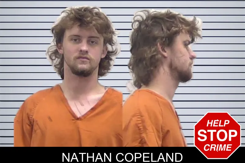 Nathan Copeland mugshot – Clarke County , Georgia Nathan Copeland mugshot