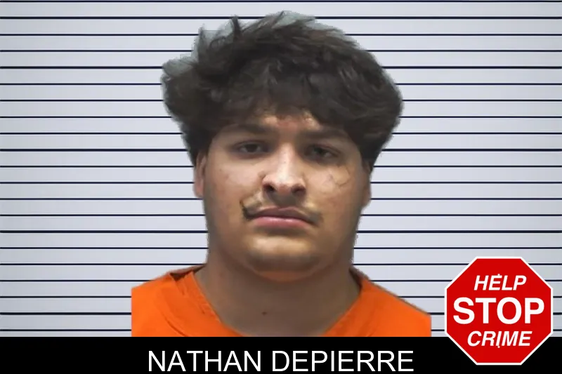 Nathan Depierre mugshot – Cherokee County , Georgia Nathan Depierre mugshot