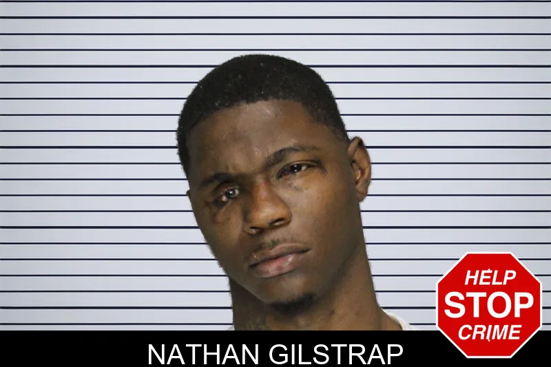 Nathan Gilstrap mugshot – Cobb County , Georgia Nathan Gilstrap mugshot