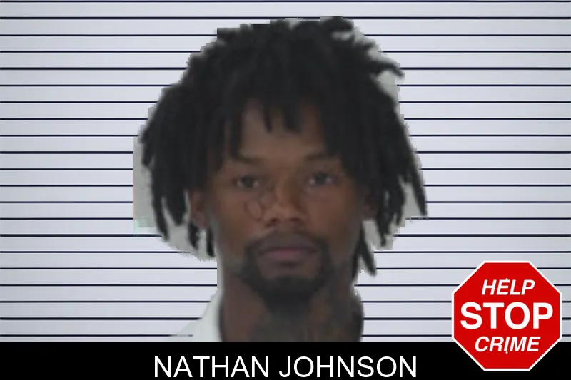 Nathan Johnson mugshot – Fayette County , Georgia Nathan Johnson mugshot