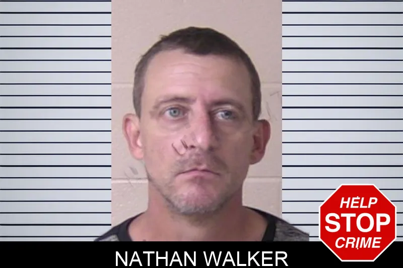 Nathan Walker mugshot – Walker County , Georgia Nathan Walker mugshot