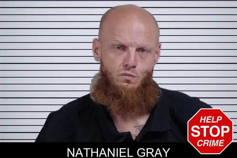 Nathaniel Gray mugshot – Lowndes County , Georgia Nathaniel Gray mugshot