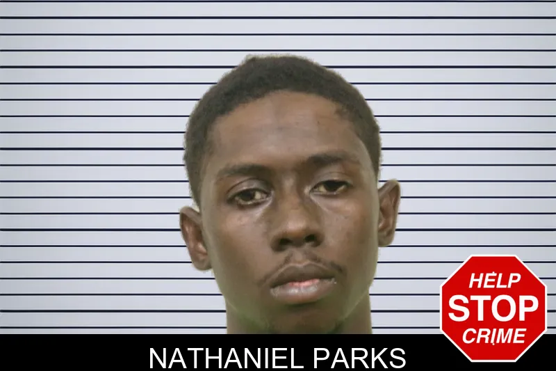 Nathaniel Parks mugshot – Bulloch County , Georgia Nathaniel Parks mugshot