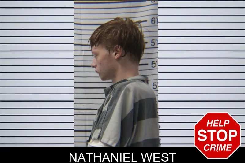 Nathaniel West mugshot – Stephens County , Georgia Nathaniel West mugshot