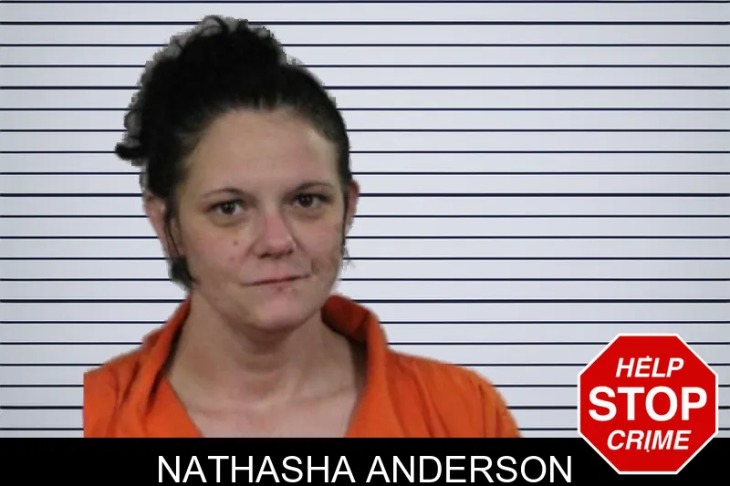 Nathasha Anderson mugshot – Lamar County , Georgia Nathasha Anderson mugshot