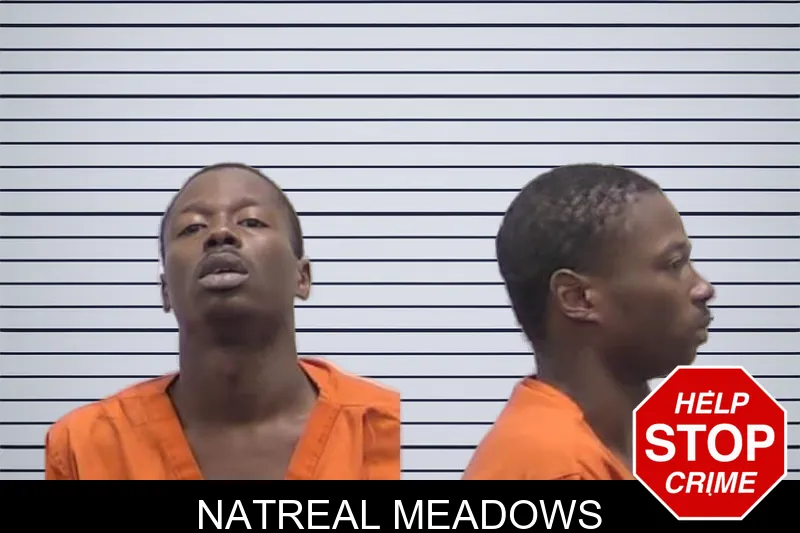Natreal Meadows mugshot – Clarke County , Georgia Natreal Meadows mugshot