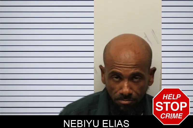 Nebiyu Elias mugshot – Chatham County , Georgia Nebiyu Elias mugshot